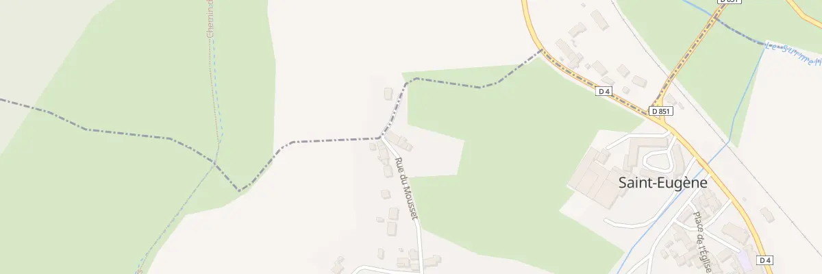 Plan du 29 Rue du Mousset à Saint-Eugène