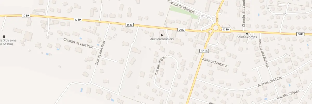 Plan du 19 Rue des Vignes à Saint-Georges-sur-Baulche
