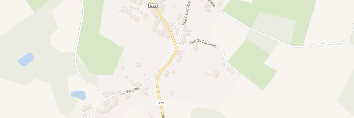 Plan du 173 Rue de la Forêt à Mareuil-en-Dôle