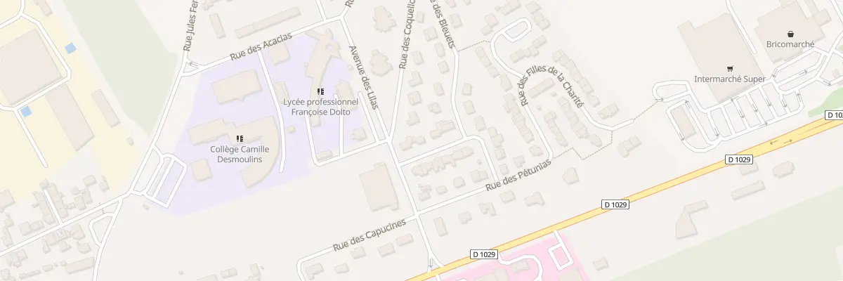 Plan du 29 Rue des Géraniums à Guise