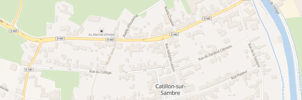 Plan du 42 Rte Nationale à Catillon-sur-Sambre