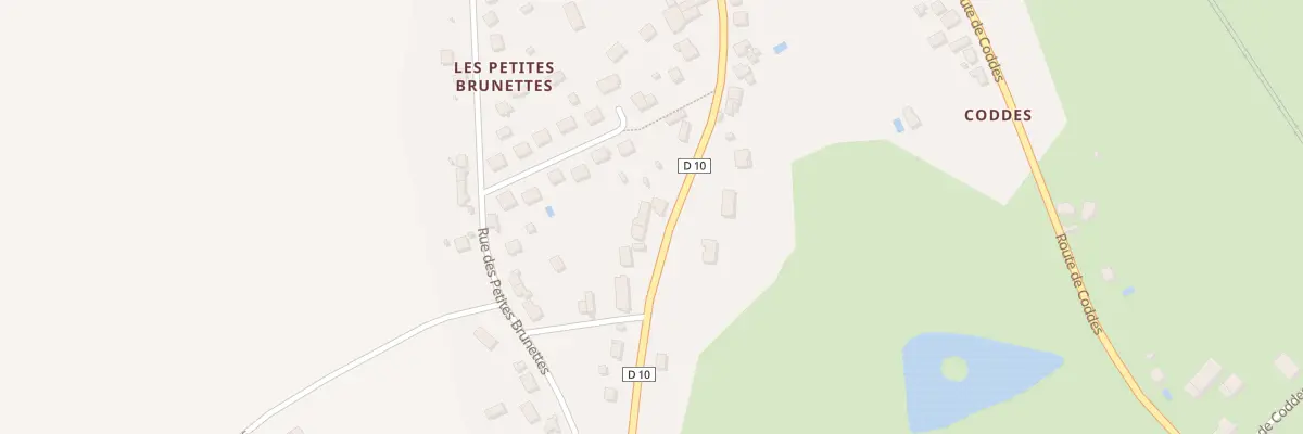 Plan du 22 Rue des Grandes Brunettes à Cercy-la-Tour