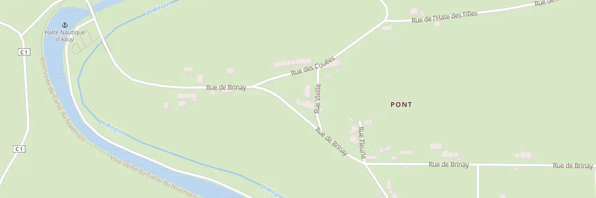 Plan du 397 Rue de Brinay à Alluy