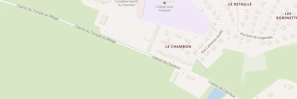 Plan du 295 Rue Catherine Gouby à Dompierre-sur-Besbre