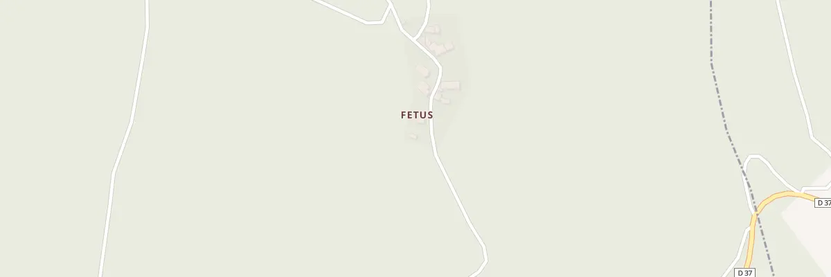 Plan du 5196 Fetus à Olmet