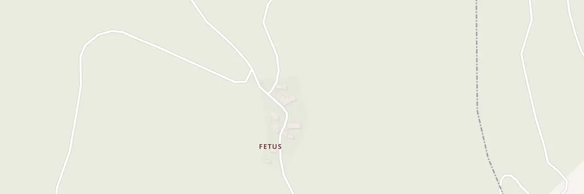 Plan du 5120 Fetus à Olmet