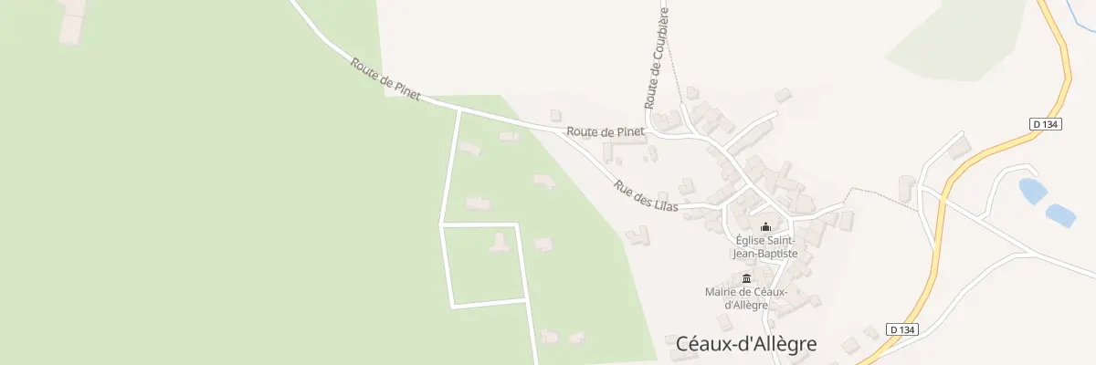 Plan du 8 Lot Le Champs de Céaux à Céaux-d’Allègre