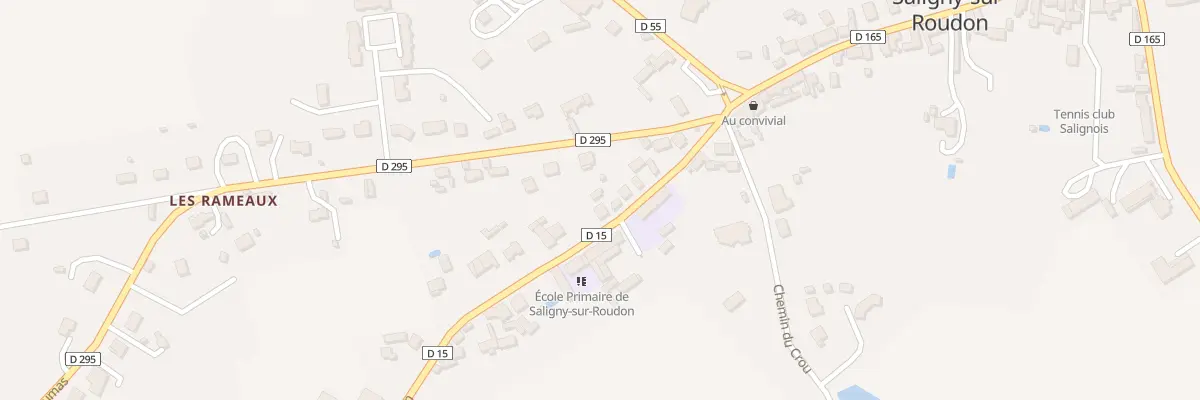 Plan du 6 Rte du Donjon à Saligny-sur-Roudon