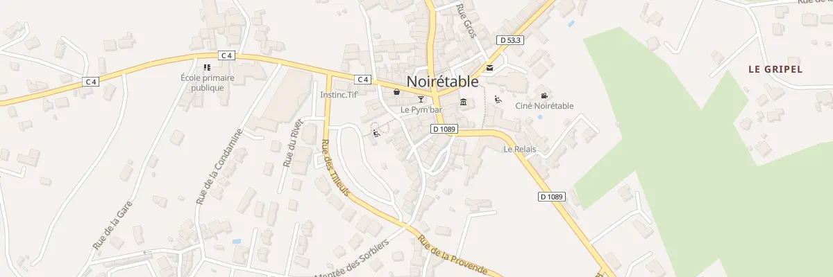 Plan du 6 Rue de la Chana à Noirétable