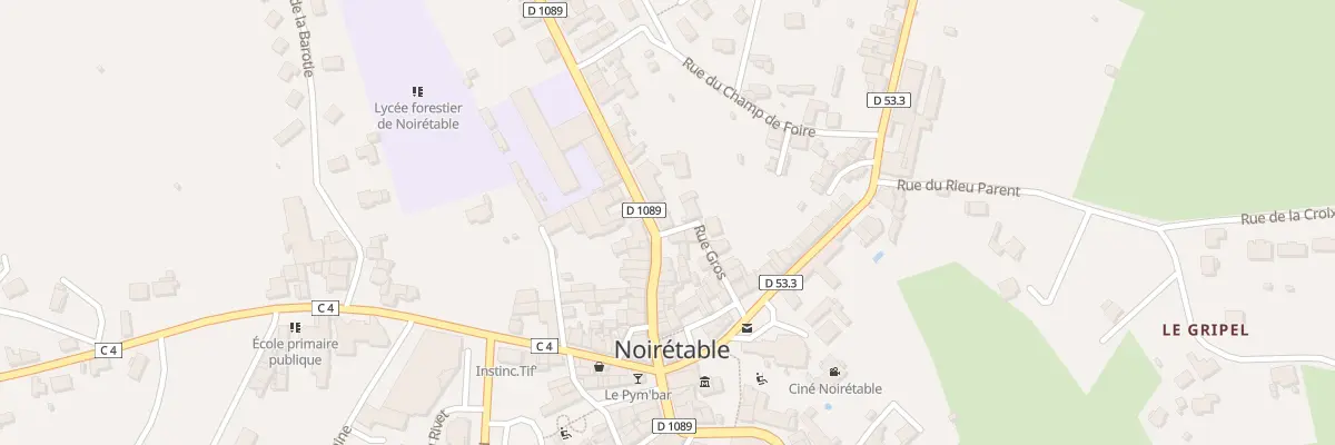 Plan du 1 Rue Gros à Noirétable