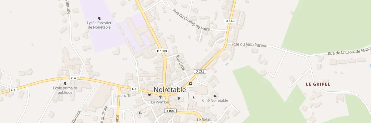 Plan du 7 Rue Gros à Noirétable