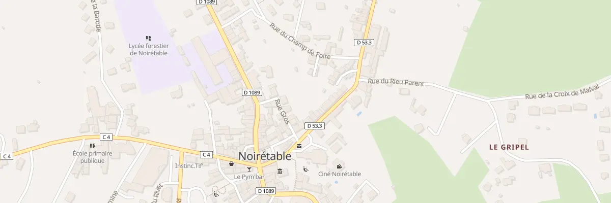Plan du 7 Rue de la Conche à Noirétable