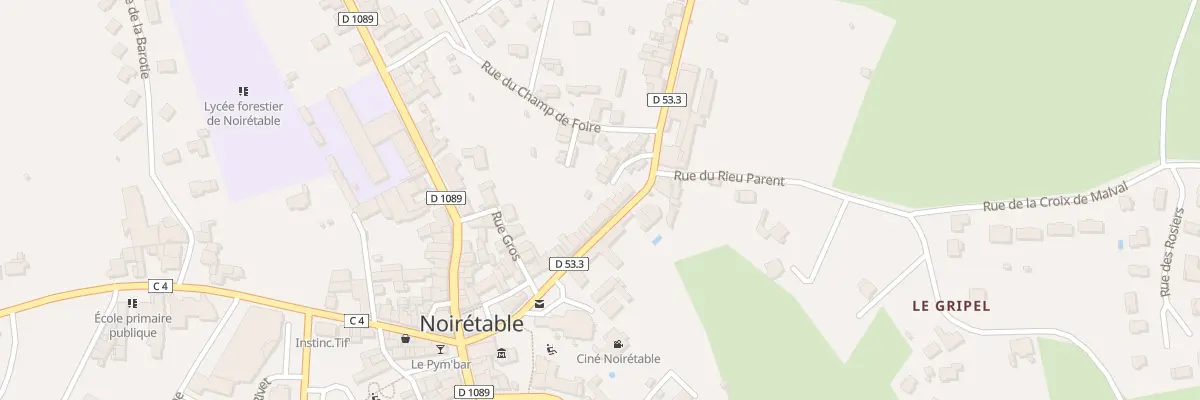 Plan du 21 Rue de la Conche à Noirétable