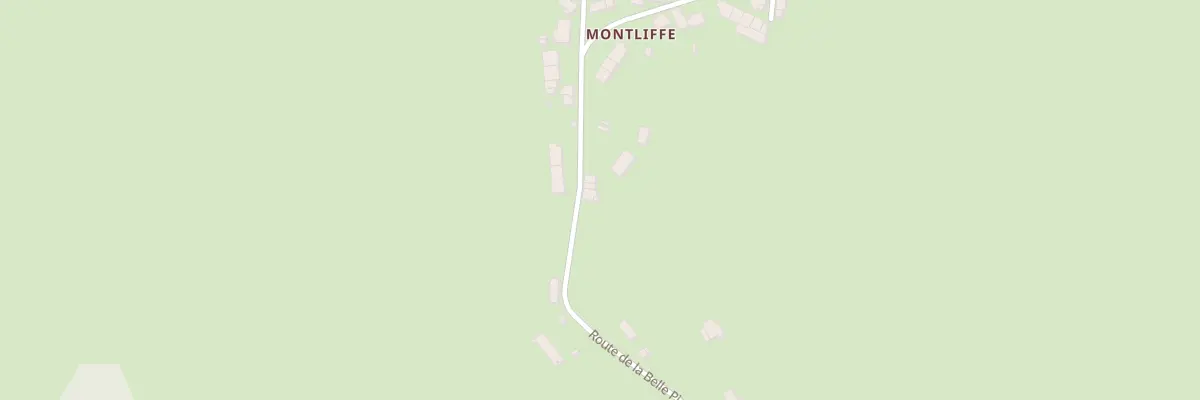 Plan du 459 Montliffé à Cervon