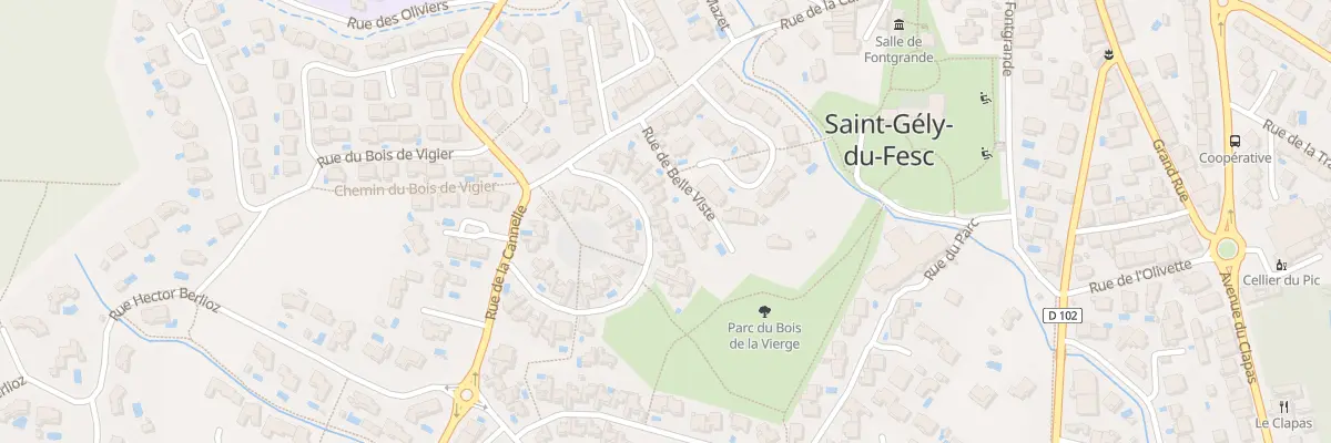 Plan du 166 Rue du Calvaire à Saint-Gély-du-Fesc