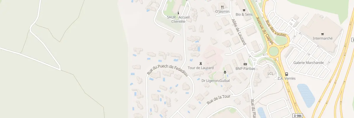 Plan du 405 Rue du Puech de Fedediou à Saint-Gély-du-Fesc