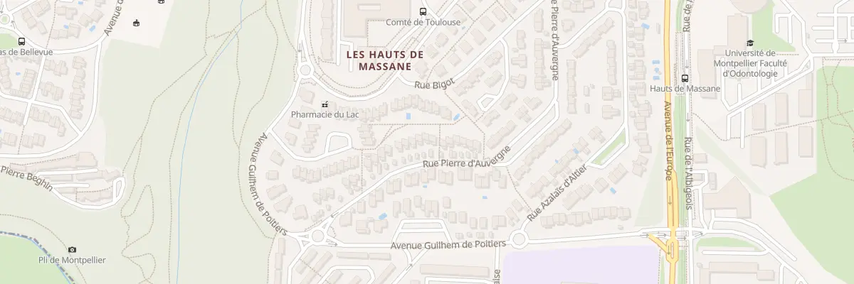 Plan du 29 Rue Pierre d’Auvergne à Montpellier