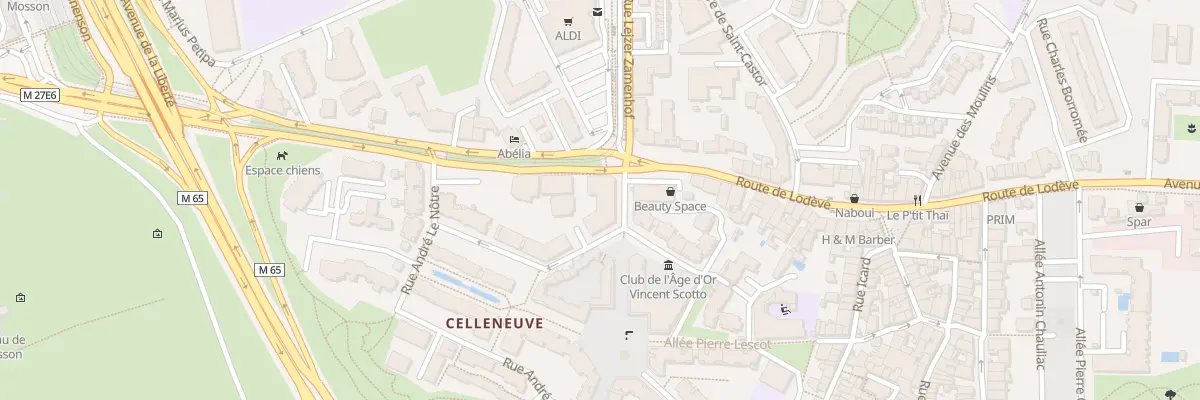 Plan du 55 Rte de Lodève à Montpellier