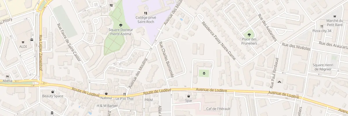 Plan du 3 Rue Charles Borromée à Montpellier