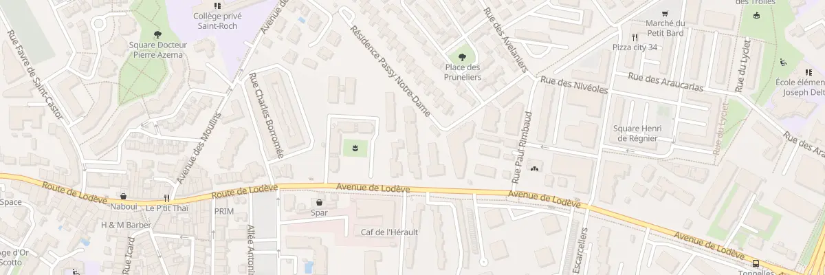 Plan du 236 Av de Lodève à Montpellier