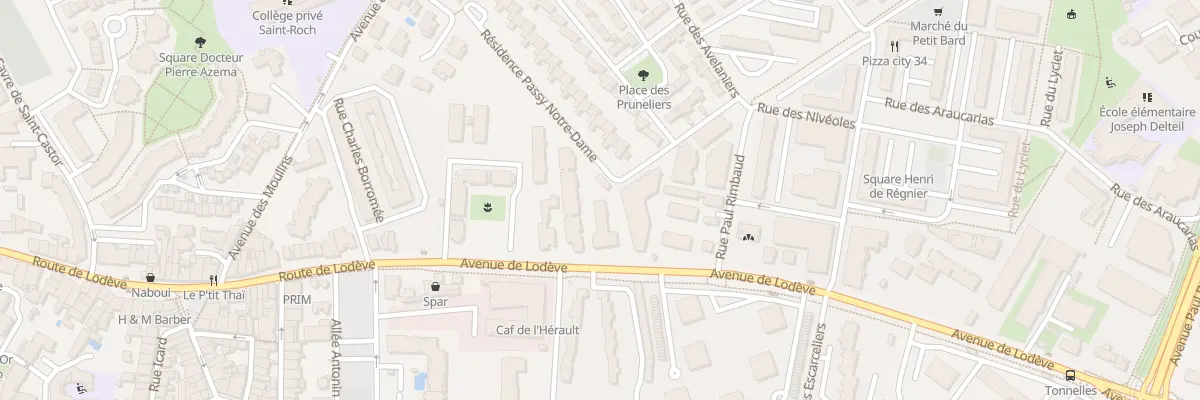 Plan du 234 Av de Lodève à Montpellier