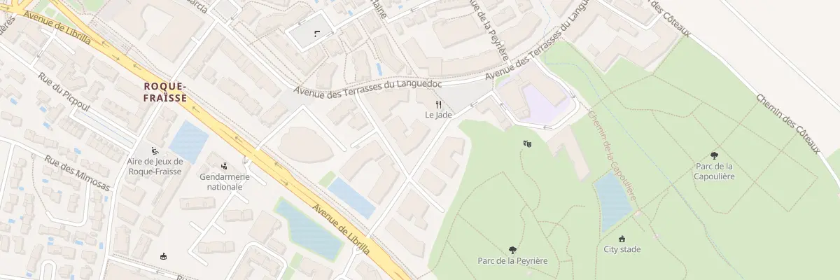 Plan du 119 Rue du Colonel Arnaud Beltrame à Saint-Jean-de-Védas