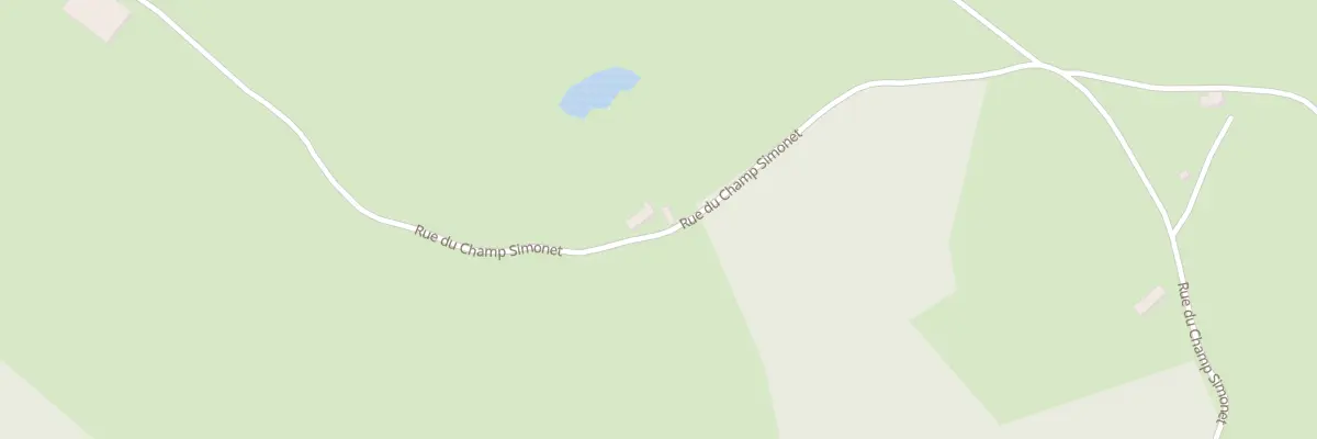 Plan du 4 Rue du Champ Simonet à Savigny-Poil-Fol