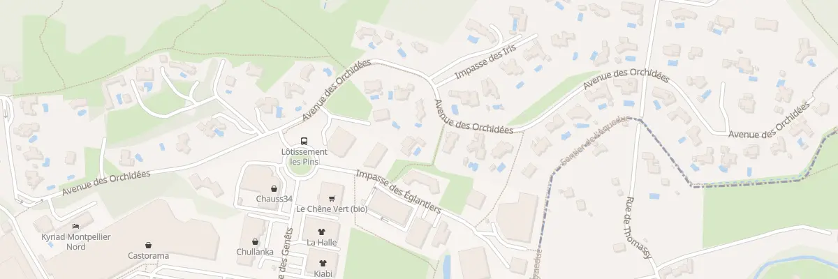 Plan du 800 Av des Orchidees à Saint-Clément-de-Rivière