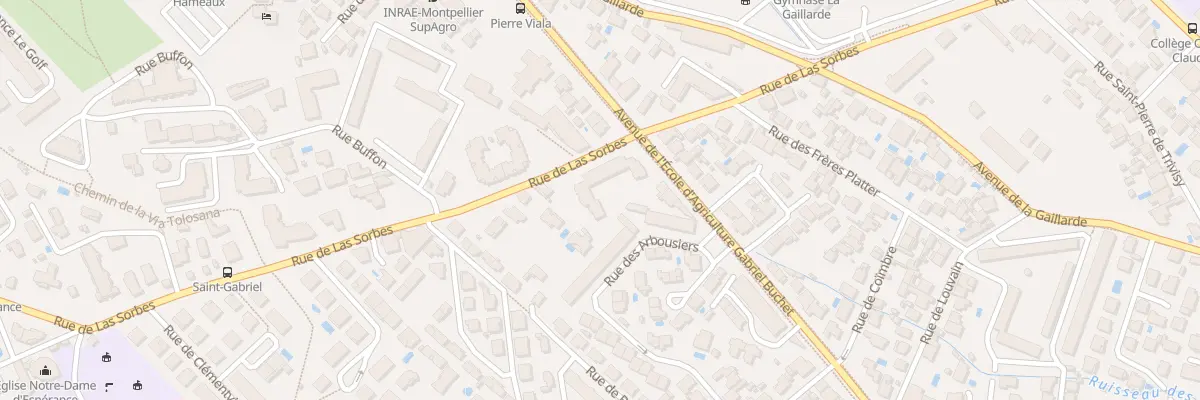 Plan du 699 Rue de Las Sorbes à Montpellier