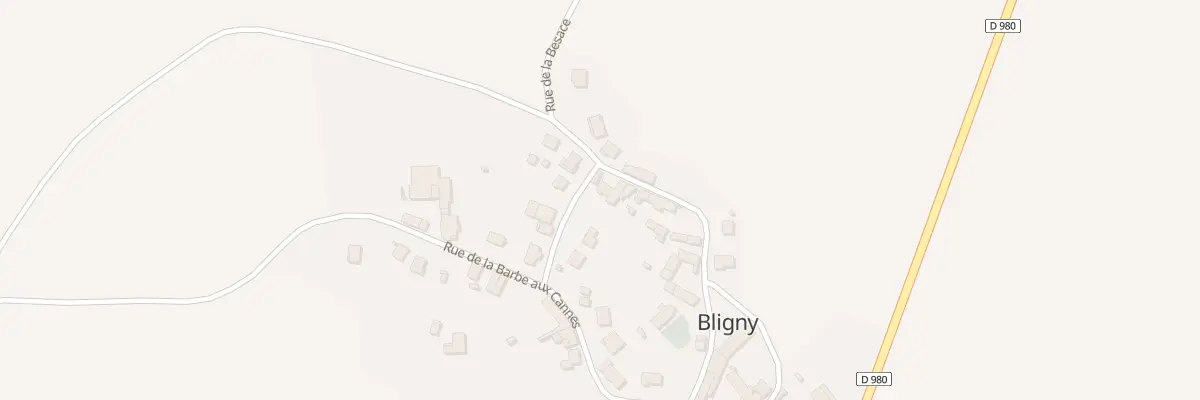 Plan du 9 Rue de la Besace à Bligny