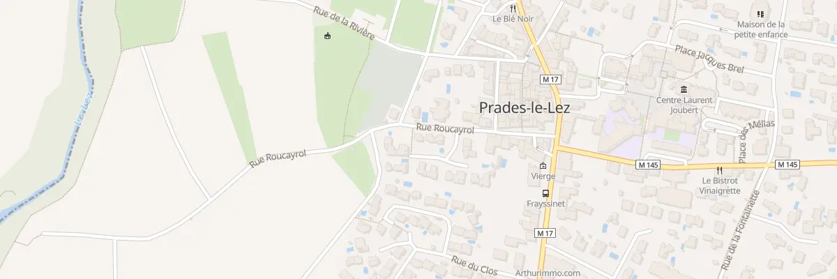 Plan du 163 Rue Roucayrol à Prades-le-Lez