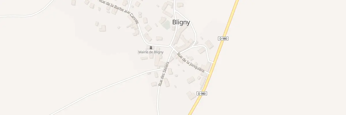 Plan du 1 Rue des Sétiers à Bligny