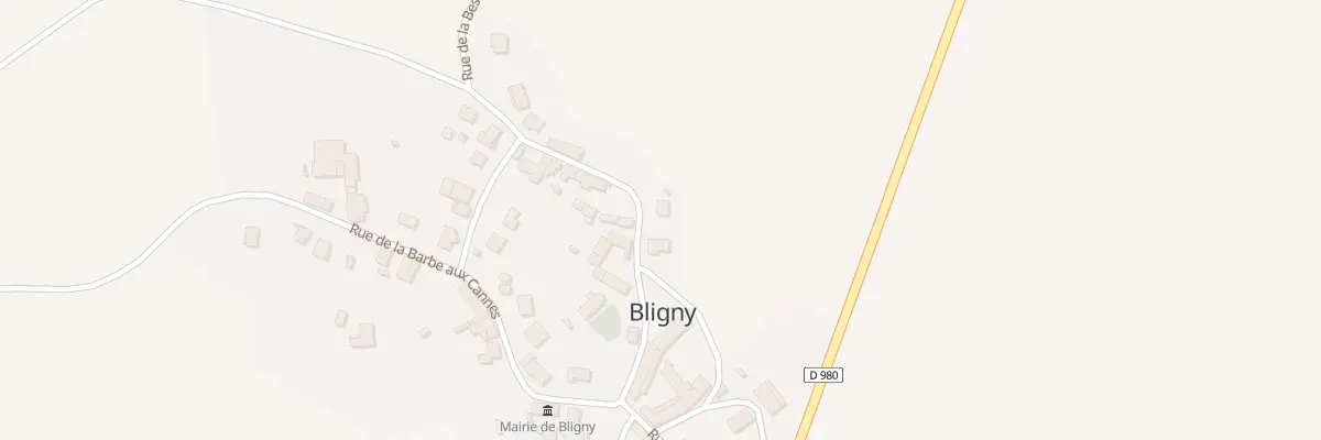 Plan du 4 Rue de la Besace à Bligny