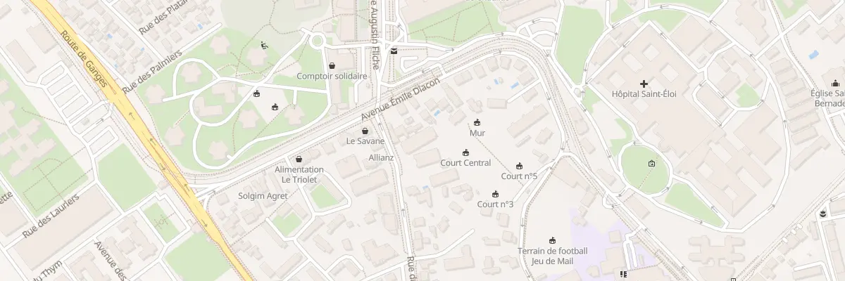 Plan du 606 Rue du Triolet à Montpellier
