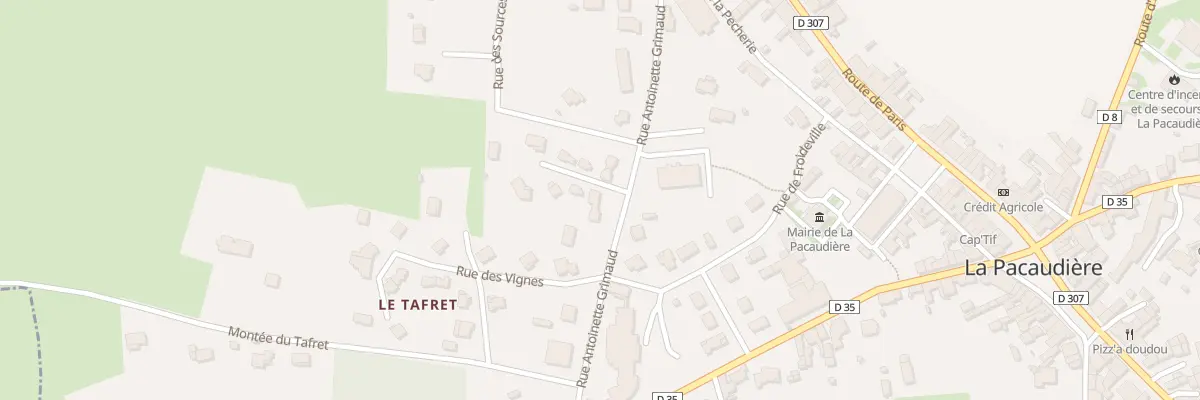Plan du 209 Rue Antoinette Grimaud à La Pacaudière