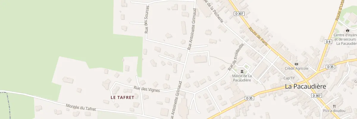 Plan du 235 Rue Antoinette Grimaud à La Pacaudière