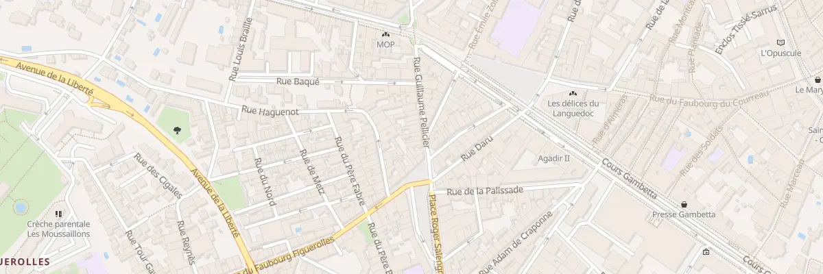 Plan du 20 Rue Guillaume Pellicier à Montpellier