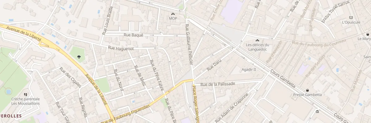 Plan du 22 Rue Guillaume Pellicier à Montpellier