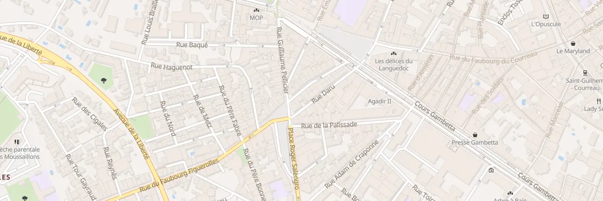 Plan du 21 Rue du Faubourg Figuerolles à Montpellier