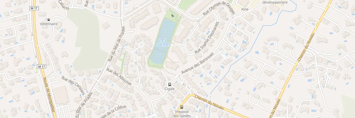 Plan du 171 Rue Sophie Desmaret à Prades-le-Lez