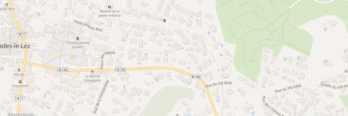Plan du 445 Rue de la Ducque à Prades-le-Lez