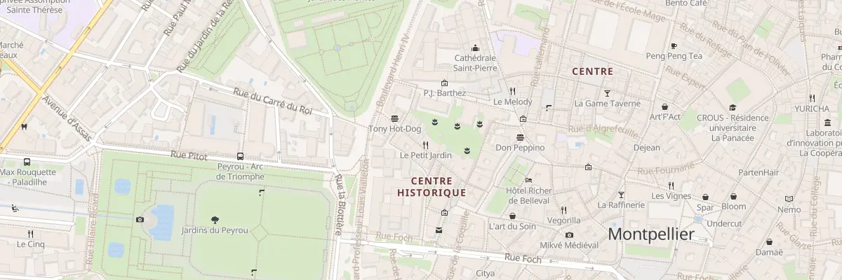 Plan du 22 Rue Jean-Jacques Rousseau à Montpellier