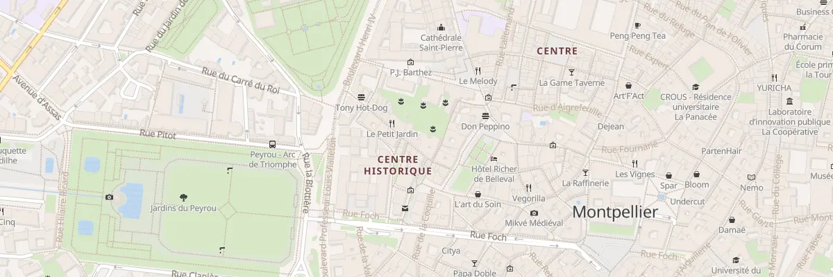 Plan du 12 Rue Jean-Jacques Rousseau à Montpellier