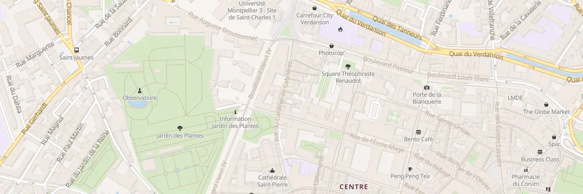 Plan du 24 Rue du Cardinal de Cabrières à Montpellier