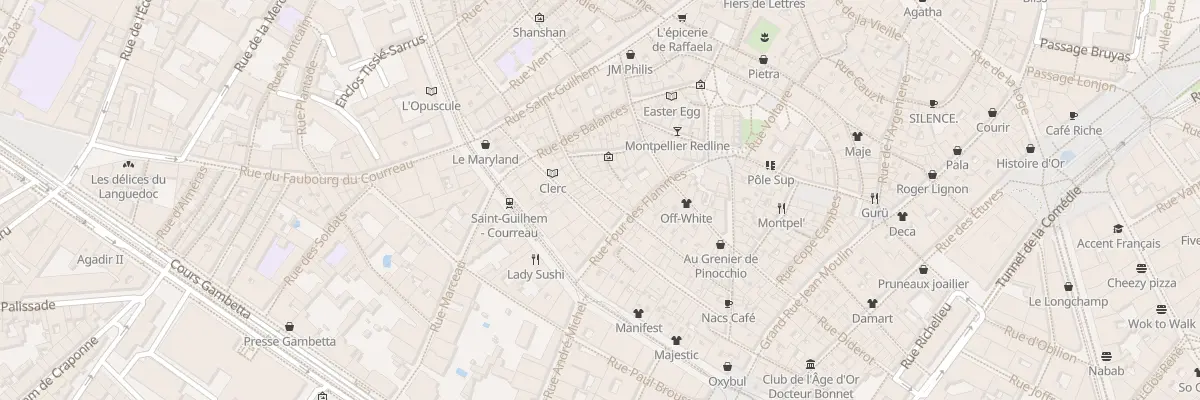 Plan du 24 Rue Roucher à Montpellier