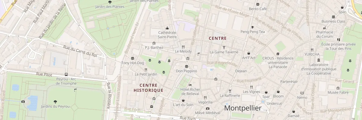 Plan du 1B Rue Ecole de Médecine à Montpellier
