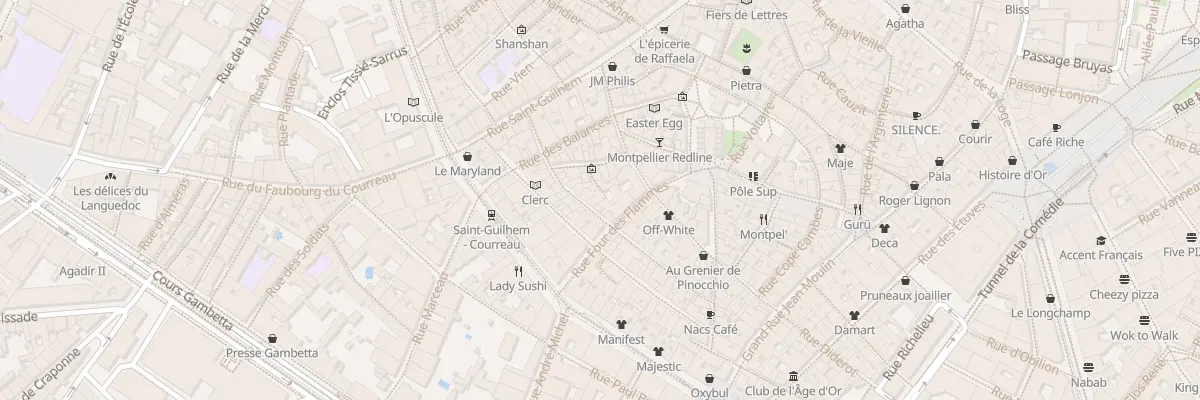 Plan du 19 Rue Roucher à Montpellier