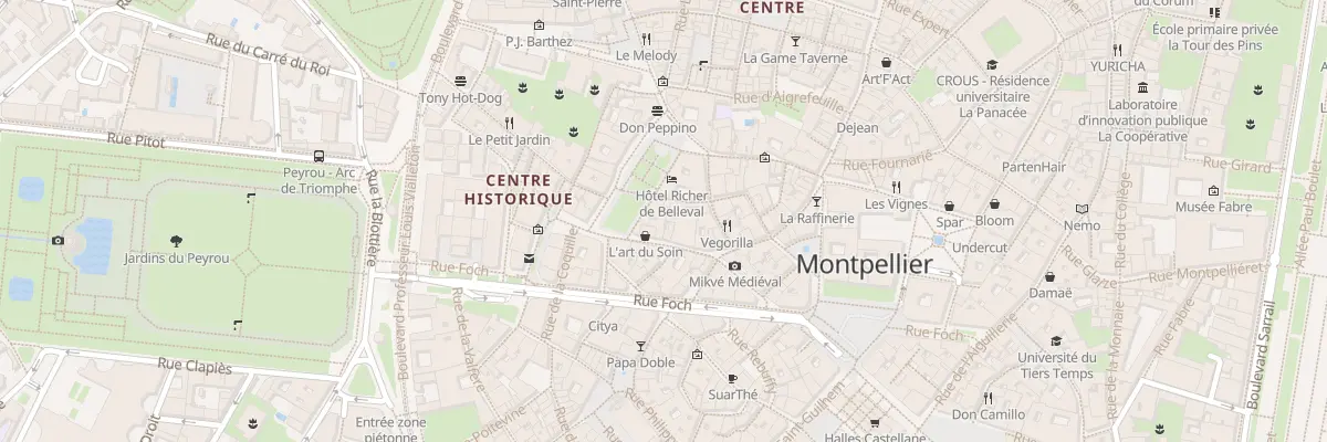 Plan du 13 Rue du Palais des Guilhem à Montpellier