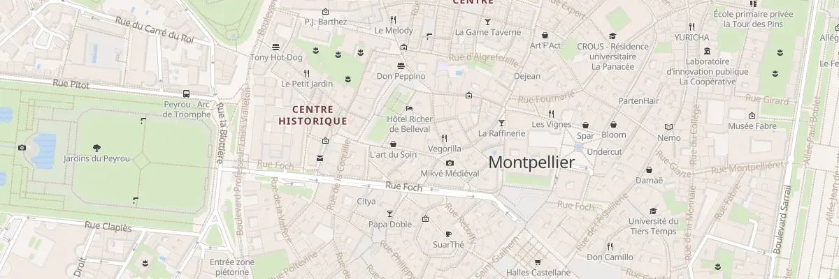 Plan du 17 Rue du Palais des Guilhem à Montpellier