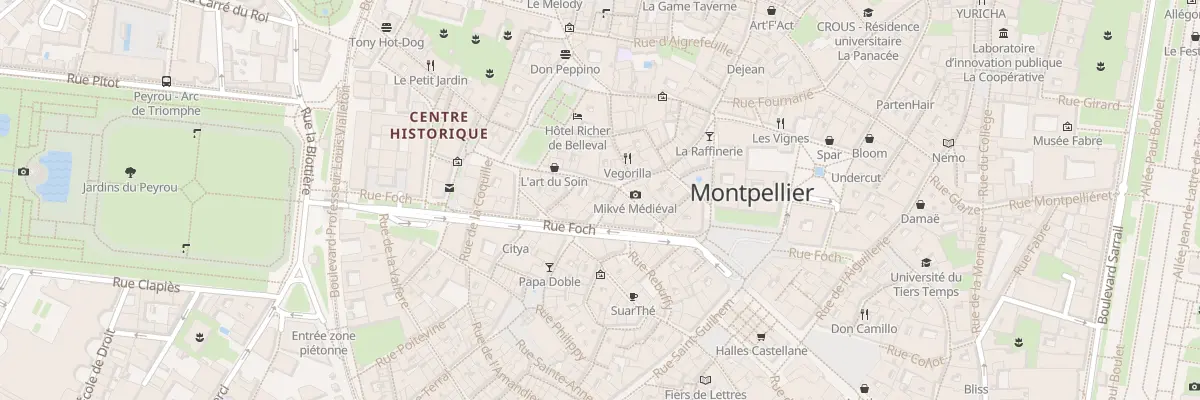 Plan du 14 Rue du Palais des Guilhem à Montpellier